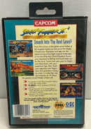 Street Fighter II Special Champion Edition Sega Mega Drive *Complete* Genesis2